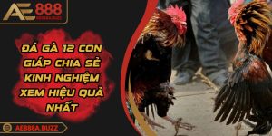 da-ga-12-con-giap