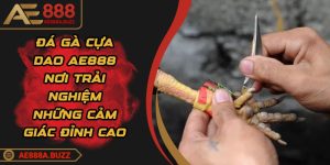 da-ga-cua-dao