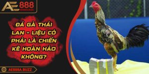 da-ga-thai-lan