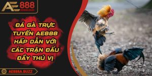 da-ga-truc-tuyen-ae888