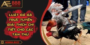 luat-da-ga
