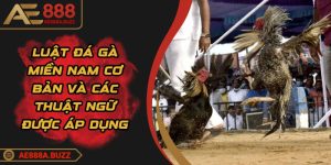 luat-da-ga-mien-nam