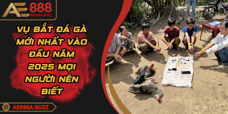 vu-bat-da-ga-moi-nhat
